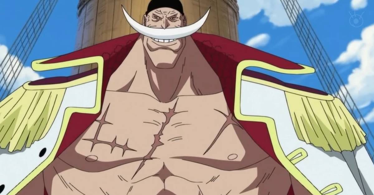 One Piece Tudo Sobre O Barba Branca